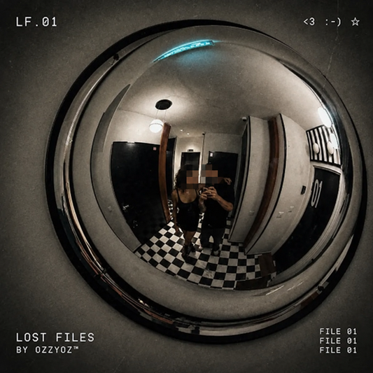 LOST FILES Artwork